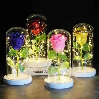 trandafiri criogenati multecolori