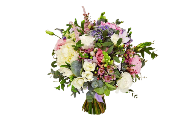 11625250_q9qpv83qenr-removebg-preview