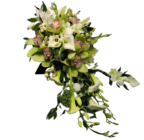 WhatsApp_Image_2021-03-31_at_14.18.34__11_-removebg-preview