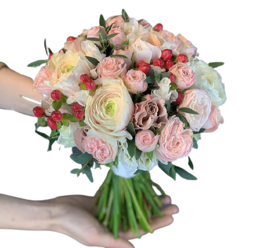 WhatsApp_Image_2021-03-31_at_14.33.32__1_-removebg-preview