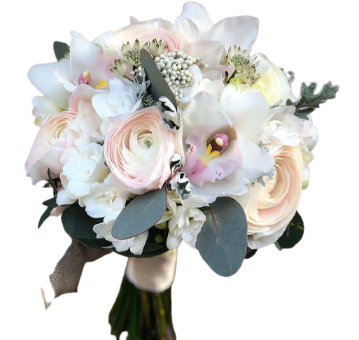 WhatsApp_Image_2021-03-31_at_14.33.32__5_-removebg-preview