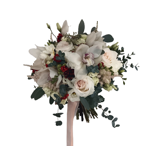 iOO0cTYCVIg-removebg-preview