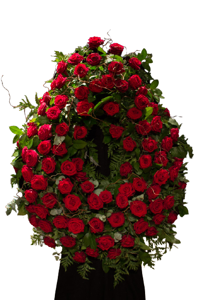 1637087870043-removebg-preview