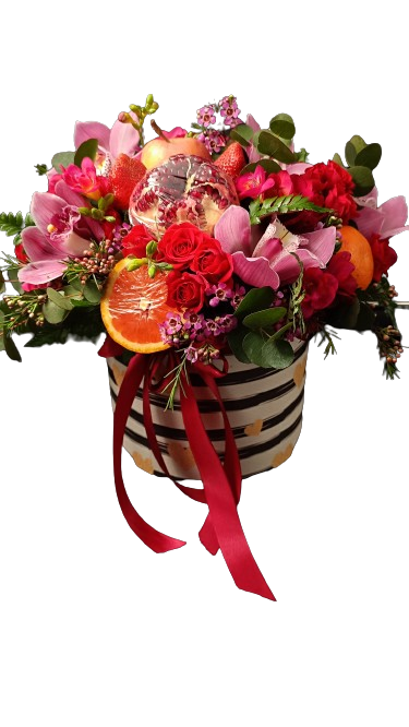 IMG_20240311_091922__1_-removebg-preview