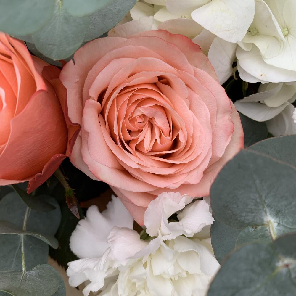 buchet elegant din trandafiri somon si hortensie alba