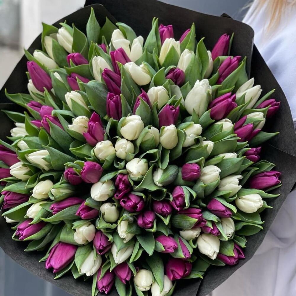 buchet flori cu 101 lalele alb si mov