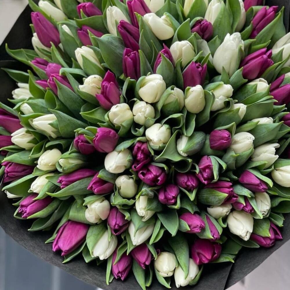 buchet flori cu 101 lalele albe si mov