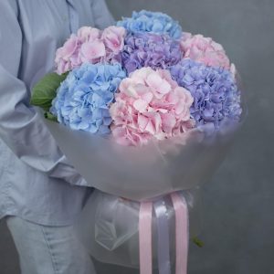 Buchete de Hortensii Premium | Betty Flowers