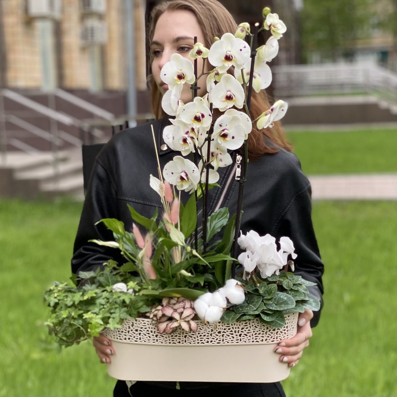 aranjament cu orhidee si plante verzi