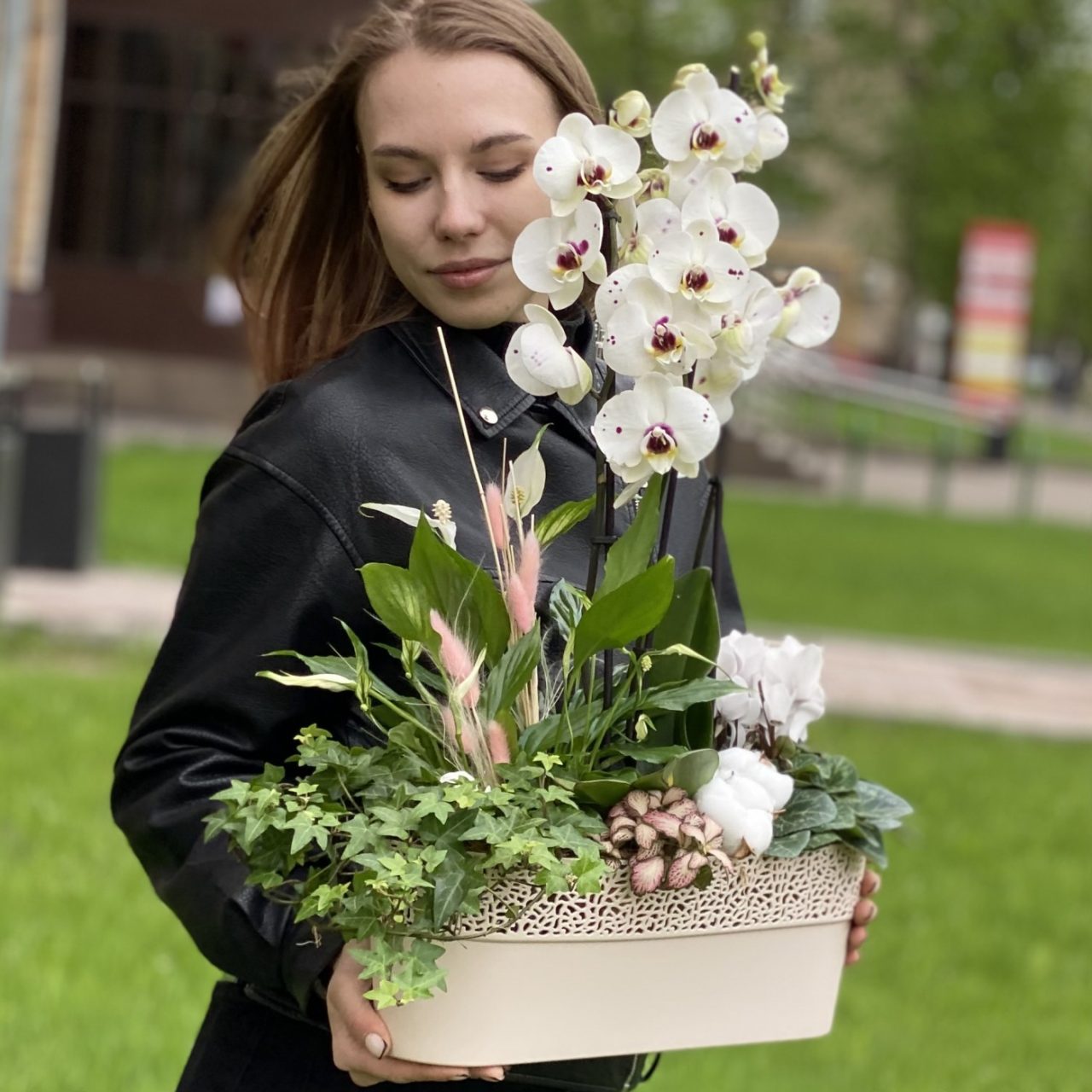 aranjament cu orhidee si plante verzi