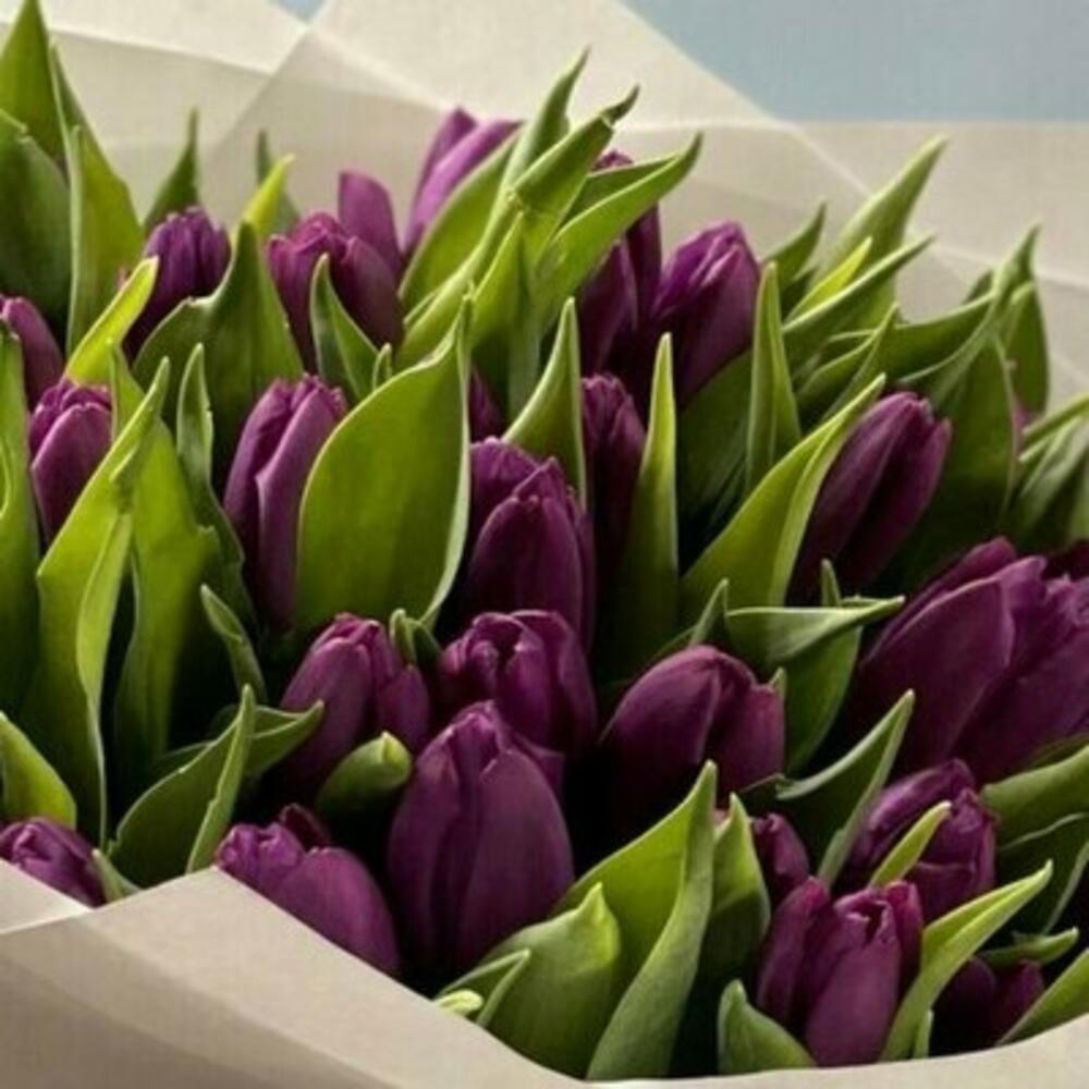 Buchet Deosebit cu 35 Lalele Mov – Flori Proaspete