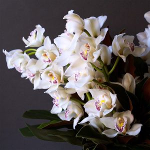 Buchete din Orhidee pentru Cadouri Elegante